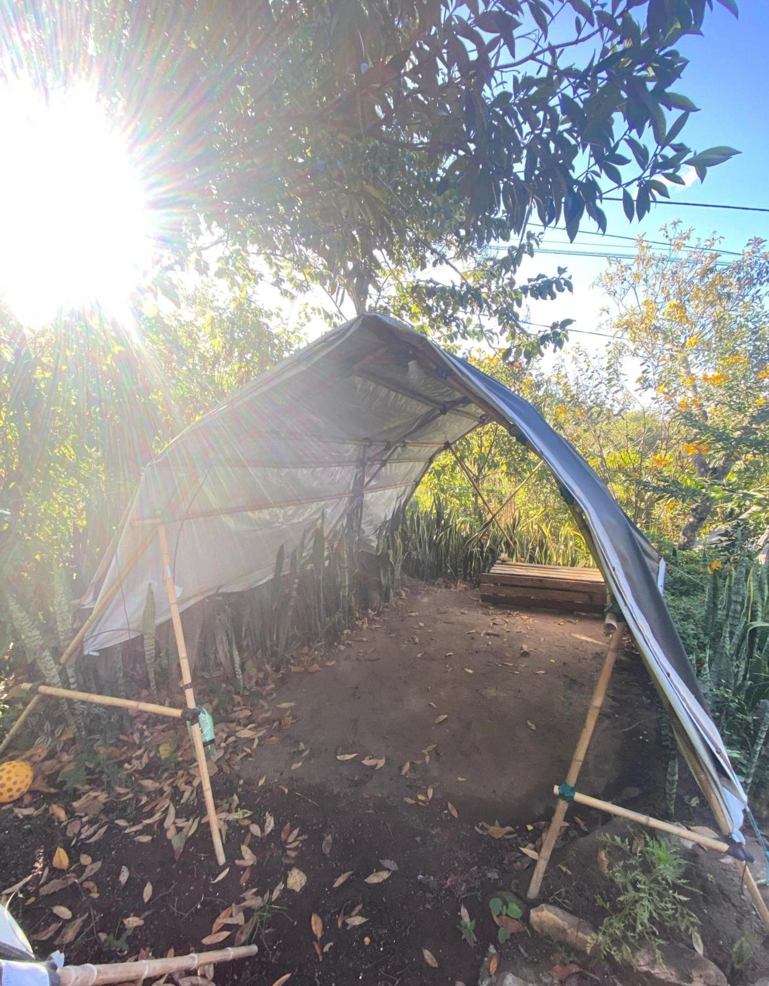 Camping Filhos Da Floresta - Vale Do Capao Bagian luar foto